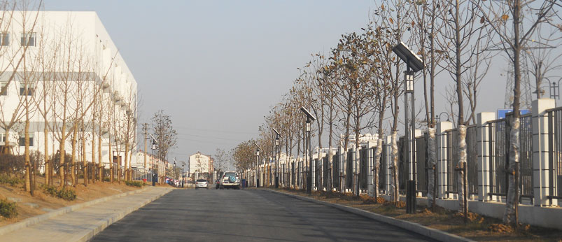 大港中學(xué)太陽(yáng)能庭院燈